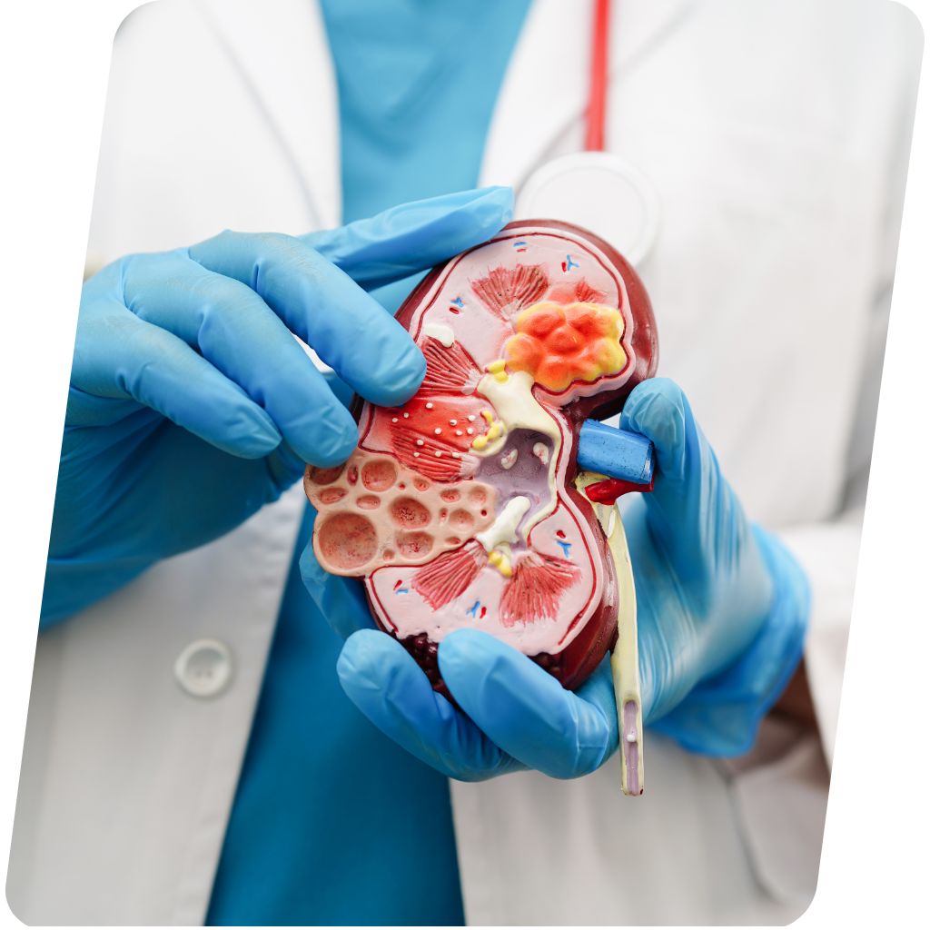 urologista examinando paciente em consultório moderno, interação profissional de saúde